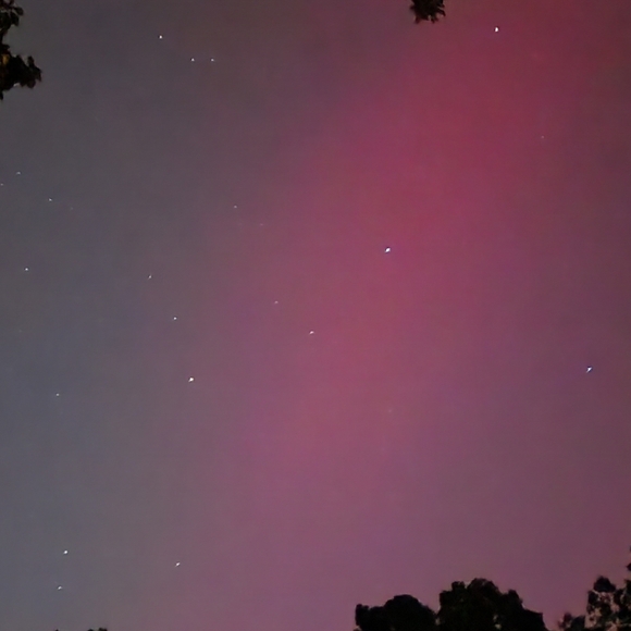 Meet your Posher, Sandra - Picture 1 of 1